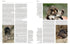 Handbook of the Mammals of the World no 6 -Lagomorphs and Rodents - Lynx 2016